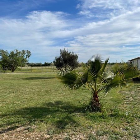 « La Parenthese » Gite En Camargue Arles Eksteriør bilde